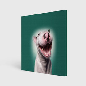 Холст квадратный с принтом Bully в Кировске, 100% ПВХ |  | Тематика изображения на принте: bull terrier | ears | eyes | fangs | jaw | muzzle | nose | smile | бультерьер | глаза | клыки | нос | пасть | улыбка | уши