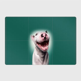 Магнитный плакат 3Х2 с принтом Bully в Кировске, Полимерный материал с магнитным слоем | 6 деталей размером 9*9 см | bull terrier | ears | eyes | fangs | jaw | muzzle | nose | smile | бультерьер | глаза | клыки | нос | пасть | улыбка | уши
