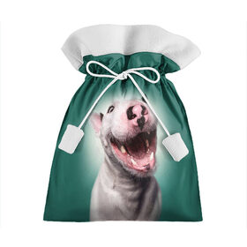 Подарочный 3D мешок с принтом Bully в Кировске, 100% полиэстер | Размер: 29*39 см | bull terrier | ears | eyes | fangs | jaw | muzzle | nose | smile | бультерьер | глаза | клыки | нос | пасть | улыбка | уши