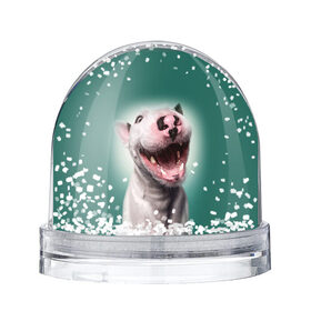 Снежный шар с принтом Bully в Кировске, Пластик | Изображение внутри шара печатается на глянцевой фотобумаге с двух сторон | bull terrier | ears | eyes | fangs | jaw | muzzle | nose | smile | бультерьер | глаза | клыки | нос | пасть | улыбка | уши