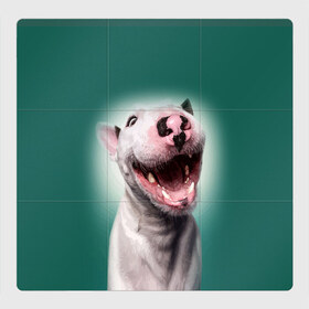 Магнитный плакат 3Х3 с принтом Bully в Кировске, Полимерный материал с магнитным слоем | 9 деталей размером 9*9 см | bull terrier | ears | eyes | fangs | jaw | muzzle | nose | smile | бультерьер | глаза | клыки | нос | пасть | улыбка | уши