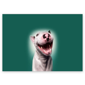 Поздравительная открытка с принтом Bully в Кировске, 100% бумага | плотность бумаги 280 г/м2, матовая, на обратной стороне линовка и место для марки
 | bull terrier | ears | eyes | fangs | jaw | muzzle | nose | smile | бультерьер | глаза | клыки | нос | пасть | улыбка | уши