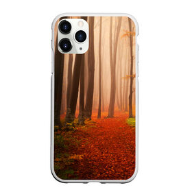 Чехол для iPhone 11 Pro Max матовый с принтом Осенний лес в Кировске, Силикон |  | деревья | лес | листва | осенний лес | осень | природа