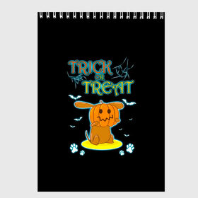 Скетчбук с принтом Trick or treat в Кировске, 100% бумага
 | 48 листов, плотность листов — 100 г/м2, плотность картонной обложки — 250 г/м2. Листы скреплены сверху удобной пружинной спиралью | 31 октября | halloween | halowen | ведьма | день всех святых | джек | костюм | кровь | лого | монстр | надпись | праздник | приведение | призрак | светильник | символ | страшная | тыква | ужасы | хеллоуин | хеллуин