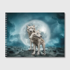 Альбом для рисования с принтом Волки альбиносы в Кировске, 100% бумага
 | матовая бумага, плотность 200 мг. | альбинос | волк | волки | волчата | волчонок | зверь