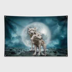 Флаг-баннер с принтом Волки альбиносы в Кировске, 100% полиэстер | размер 67 х 109 см, плотность ткани — 95 г/м2; по краям флага есть четыре люверса для крепления | альбинос | волк | волки | волчата | волчонок | зверь