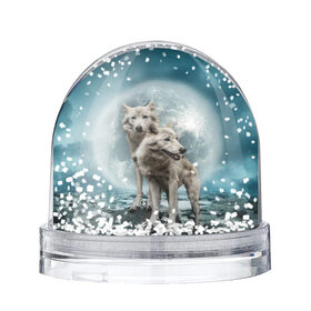 Снежный шар с принтом Волки альбиносы в Кировске, Пластик | Изображение внутри шара печатается на глянцевой фотобумаге с двух сторон | альбинос | волк | волки | волчата | волчонок | зверь