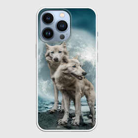 Чехол для iPhone 13 Pro с принтом Волки альбиносы в Кировске,  |  | альбинос | волк | волки | волчата | волчонок | зверь