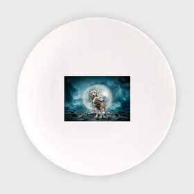 Тарелка с принтом Волки альбиносы в Кировске, фарфор | диаметр - 210 мм
диаметр для нанесения принта - 120 мм | альбинос | волк | волки | волчата | волчонок | зверь
