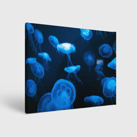 Холст прямоугольный с принтом Медуза в Кировске, 100% ПВХ |  | Тематика изображения на принте: medusozoa | медуза | медузы | морское животное | ядовитая медуза