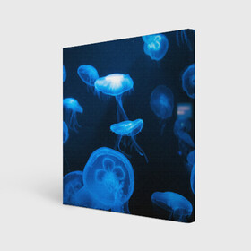 Холст квадратный с принтом Медуза в Кировске, 100% ПВХ |  | Тематика изображения на принте: medusozoa | медуза | медузы | морское животное | ядовитая медуза