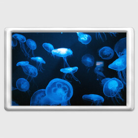 Магнит 45*70 с принтом Медуза в Кировске, Пластик | Размер: 78*52 мм; Размер печати: 70*45 | Тематика изображения на принте: medusozoa | медуза | медузы | морское животное | ядовитая медуза