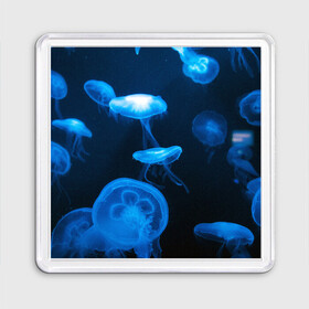 Магнит 55*55 с принтом Медуза в Кировске, Пластик | Размер: 65*65 мм; Размер печати: 55*55 мм | Тематика изображения на принте: medusozoa | медуза | медузы | морское животное | ядовитая медуза