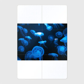 Магнитный плакат 2Х3 с принтом Медуза в Кировске, Полимерный материал с магнитным слоем | 6 деталей размером 9*9 см | Тематика изображения на принте: medusozoa | медуза | медузы | морское животное | ядовитая медуза