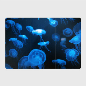 Магнитный плакат 3Х2 с принтом Медуза в Кировске, Полимерный материал с магнитным слоем | 6 деталей размером 9*9 см | Тематика изображения на принте: medusozoa | медуза | медузы | морское животное | ядовитая медуза