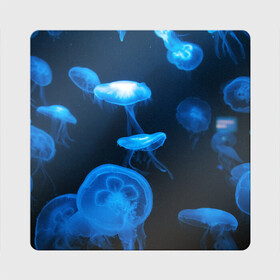Магнит виниловый Квадрат с принтом Медуза в Кировске, полимерный материал с магнитным слоем | размер 9*9 см, закругленные углы | Тематика изображения на принте: medusozoa | медуза | медузы | морское животное | ядовитая медуза