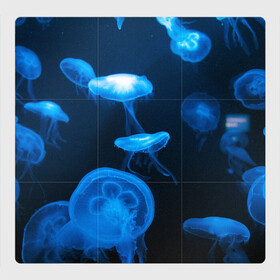 Магнитный плакат 3Х3 с принтом Медуза в Кировске, Полимерный материал с магнитным слоем | 9 деталей размером 9*9 см | Тематика изображения на принте: medusozoa | медуза | медузы | морское животное | ядовитая медуза
