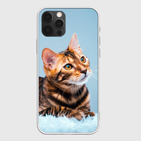 Чехол для iPhone 12 Pro Max с принтом Бенгальский кот в Кировске, Силикон |  | Тематика изображения на принте: cat | животные | звири | кис | киска | кот | котейка | котик | коты | котяра | кошка | кошки | природа