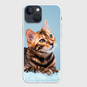 Чехол для iPhone 13 mini с принтом Бенгальский кот в Кировске,  |  | cat | животные | звири | кис | киска | кот | котейка | котик | коты | котяра | кошка | кошки | природа