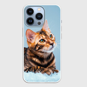 Чехол для iPhone 13 Pro с принтом Бенгальский кот в Кировске,  |  | cat | животные | звири | кис | киска | кот | котейка | котик | коты | котяра | кошка | кошки | природа