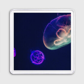 Магнит 55*55 с принтом Фантастическая медуза в Кировске, Пластик | Размер: 65*65 мм; Размер печати: 55*55 мм | медуза | медуза в море | морская медуза | плавающая медуза | светящаяся медуза