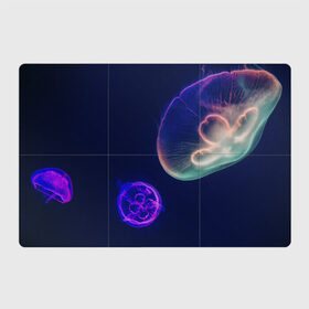 Магнитный плакат 3Х2 с принтом Фантастическая медуза в Кировске, Полимерный материал с магнитным слоем | 6 деталей размером 9*9 см | медуза | медуза в море | морская медуза | плавающая медуза | светящаяся медуза