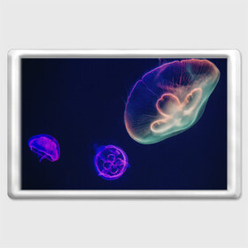Магнит 45*70 с принтом Фантастическая медуза в Кировске, Пластик | Размер: 78*52 мм; Размер печати: 70*45 | медуза | медуза в море | морская медуза | плавающая медуза | светящаяся медуза