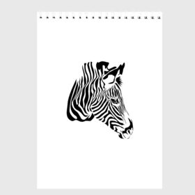 Скетчбук с принтом Zebra в Кировске, 100% бумага
 | 48 листов, плотность листов — 100 г/м2, плотность картонной обложки — 250 г/м2. Листы скреплены сверху удобной пружинной спиралью | Тематика изображения на принте: africa | black | savanna | stripe | white | zebra | африка | белый | зебра | полоска | саванна | черный