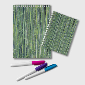 Блокнот с принтом Зеленый бамбук в Кировске, 100% бумага | 48 листов, плотность листов — 60 г/м2, плотность картонной обложки — 250 г/м2. Листы скреплены удобной пружинной спиралью. Цвет линий — светло-серый
 | Тематика изображения на принте: bamboo | forest | stripes | бамбук | заросли | лес | листья | полосы | растения