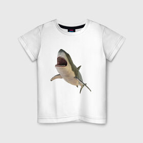 Детская футболка хлопок с принтом Акула в Кировске, 100% хлопок | круглый вырез горловины, полуприлегающий силуэт, длина до линии бедер | акула | акулы | животное | животные | звери | зверь | мегалодон | рыба | рыбы | хищник | хищники