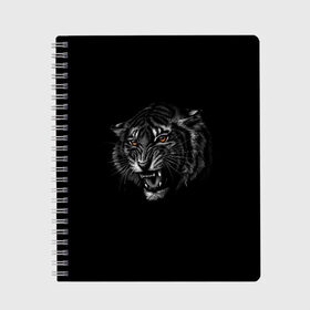 Тетрадь с принтом Тигр в Кировске, 100% бумага | 48 листов, плотность листов — 60 г/м2, плотность картонной обложки — 250 г/м2. Листы скреплены сбоку удобной пружинной спиралью. Уголки страниц и обложки скругленные. Цвет линий — светло-серый
 | Тематика изображения на принте: животные | звери | оскал тигра | тигр | хищник