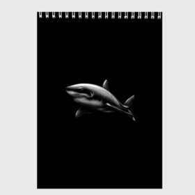 Скетчбук с принтом Акула в Кировске, 100% бумага
 | 48 листов, плотность листов — 100 г/м2, плотность картонной обложки — 250 г/м2. Листы скреплены сверху удобной пружинной спиралью | акула | акулы | морские животные | рыбы | хищники