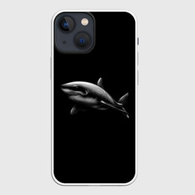 Чехол для iPhone 13 mini с принтом Акула в Кировске,  |  | акула | акулы | морские животные | рыбы | хищники