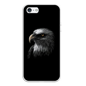 Чехол для iPhone 5/5S матовый с принтом Орлан в Кировске, Силикон | Область печати: задняя сторона чехла, без боковых панелей | голова птицы | орел | орлан | птица | птицы