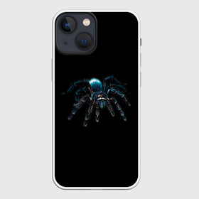 Чехол для iPhone 13 mini с принтом Паук в Кировске,  |  | насекомые | паук | паук птицеед | пауки | тарантул