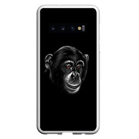Чехол для Samsung Galaxy S10 с принтом Обезьяна в Кировске, Силикон | Область печати: задняя сторона чехла, без боковых панелей | Тематика изображения на принте: животные | обезьяна | обезьяны | приматы | шимпанзе