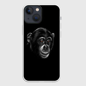 Чехол для iPhone 13 mini с принтом Обезьяна в Кировске,  |  | животные | обезьяна | обезьяны | приматы | шимпанзе
