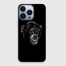 Чехол для iPhone 13 Pro с принтом Обезьяна в Кировске,  |  | животные | обезьяна | обезьяны | приматы | шимпанзе