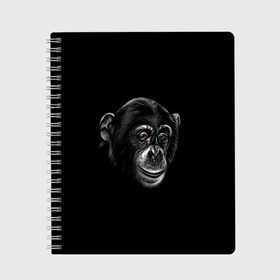 Тетрадь с принтом Обезьяна в Кировске, 100% бумага | 48 листов, плотность листов — 60 г/м2, плотность картонной обложки — 250 г/м2. Листы скреплены сбоку удобной пружинной спиралью. Уголки страниц и обложки скругленные. Цвет линий — светло-серый
 | Тематика изображения на принте: животные | обезьяна | обезьяны | приматы | шимпанзе
