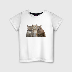 Детская футболка хлопок с принтом удивленные коты в Кировске, 100% хлопок | круглый вырез горловины, полуприлегающий силуэт, длина до линии бедер | Тематика изображения на принте: котики | надписи | прикол | удивление | черный кот
