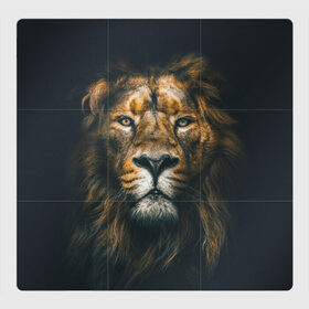 Магнитный плакат 3Х3 с принтом Лев в Кировске, Полимерный материал с магнитным слоем | 9 деталей размером 9*9 см | Тематика изображения на принте: животные | зверь | лев | львы | хищник