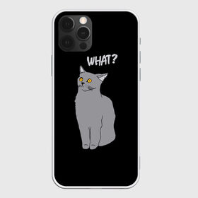 Чехол для iPhone 12 Pro Max с принтом What cat в Кировске, Силикон |  | cat | kitten | kitty | what кот | британская кошка | британский кот | в смысле | взгляд | вопрос | вопросительный знак | глаза кота | животные | кот мем | котенок | котик | котята | кошак | кошка | мемы