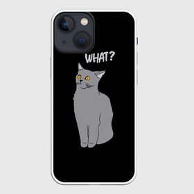 Чехол для iPhone 13 mini с принтом What cat в Кировске,  |  | cat | kitten | kitty | what кот | британская кошка | британский кот | в смысле | взгляд | вопрос | вопросительный знак | глаза кота | животные | кот мем | котенок | котик | котята | кошак | кошка | мемы