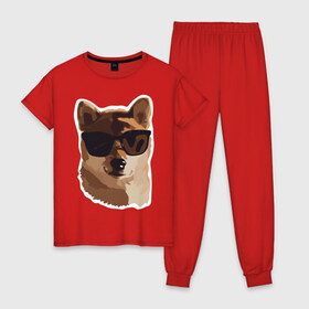 Женская пижама хлопок с принтом Собакен в Кировске, 100% хлопок | брюки и футболка прямого кроя, без карманов, на брюках мягкая резинка на поясе и по низу штанин | dog | dogs | домашний питомец | лучший друг человека | лучшийдру | очки | собака | собаки | собачка