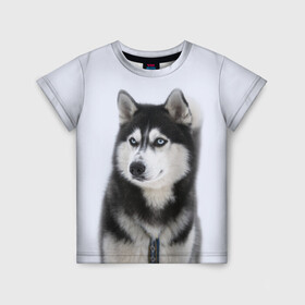 Детская футболка 3D с принтом ХАСКИ в Кировске, 100% гипоаллергенный полиэфир | прямой крой, круглый вырез горловины, длина до линии бедер, чуть спущенное плечо, ткань немного тянется | dog | husky | милый | пес | песик | собака | собачка | хаски | щенок