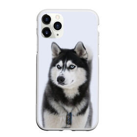 Чехол для iPhone 11 Pro матовый с принтом ХАСКИ в Кировске, Силикон |  | dog | husky | милый | пес | песик | собака | собачка | хаски | щенок