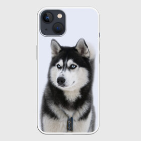 Чехол для iPhone 13 с принтом ХАСКИ в Кировске,  |  | dog | husky | милый | пес | песик | собака | собачка | хаски | щенок