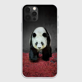Чехол для iPhone 12 Pro Max с принтом ПАНДА в Кировске, Силикон |  | Тематика изображения на принте: panda | большая | в зоопарке | забавная | медведь | милая | панда | пандочка