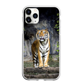Чехол для iPhone 11 Pro матовый с принтом ТИГР В ЛЕСУ в Кировске, Силикон |  | tiger | амурский | бенгальский | в зоопарке | в лесу | дикий | кошка | крупная | полосатый | тигр | тигренок | тигрица