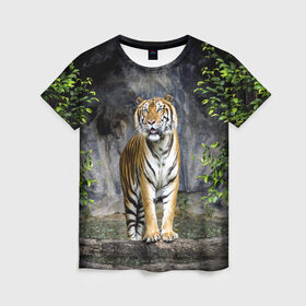Женская футболка 3D с принтом ТИГР В ЛЕСУ в Кировске, 100% полиэфир ( синтетическое хлопкоподобное полотно) | прямой крой, круглый вырез горловины, длина до линии бедер | tiger | амурский | бенгальский | в зоопарке | в лесу | дикий | кошка | крупная | полосатый | тигр | тигренок | тигрица